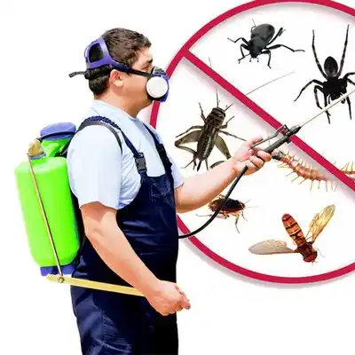 pest control Montz